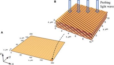 Modeling of the high-resolution optical-coherence diagnostics of bi-refringent biological tissues